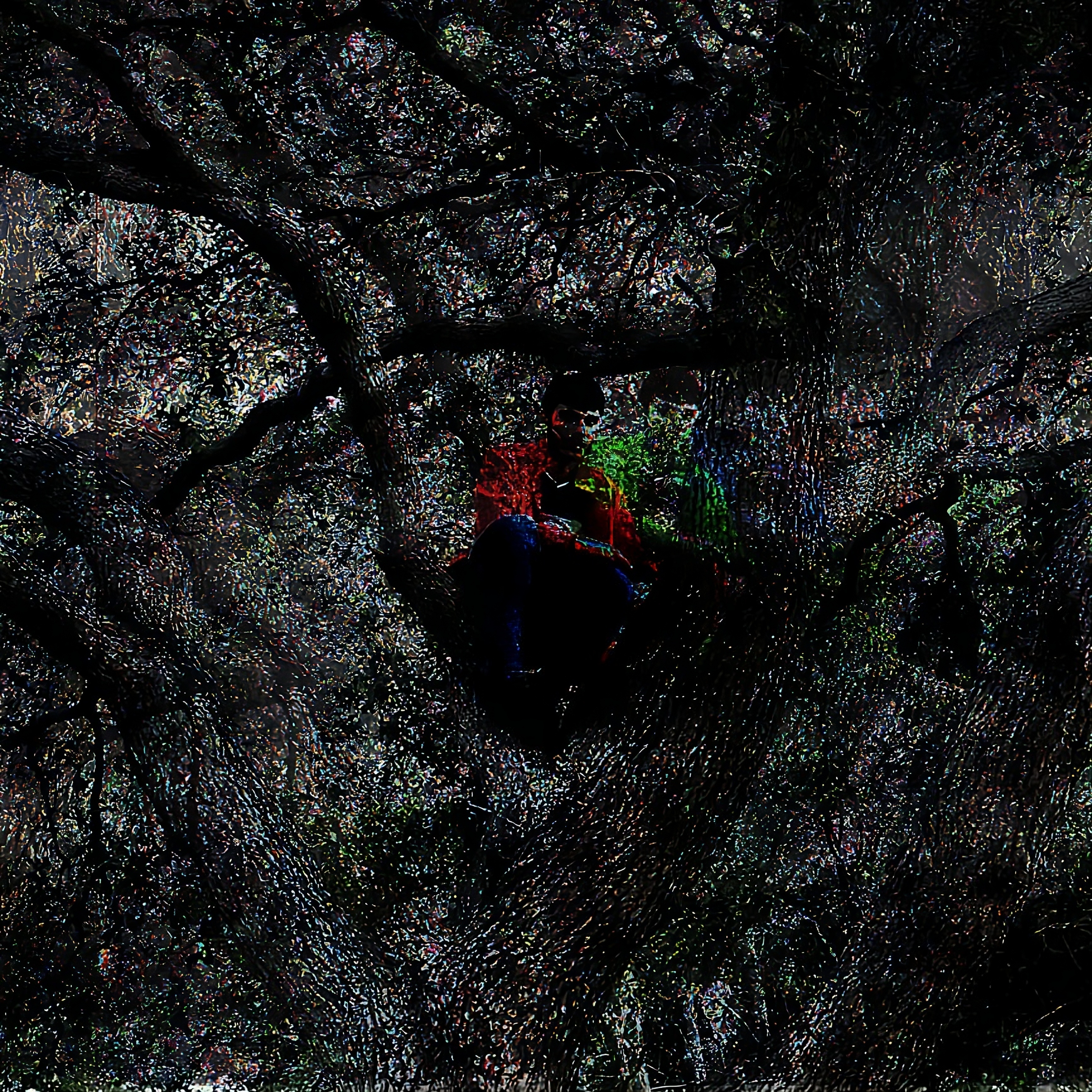 Strike Me Album Cover